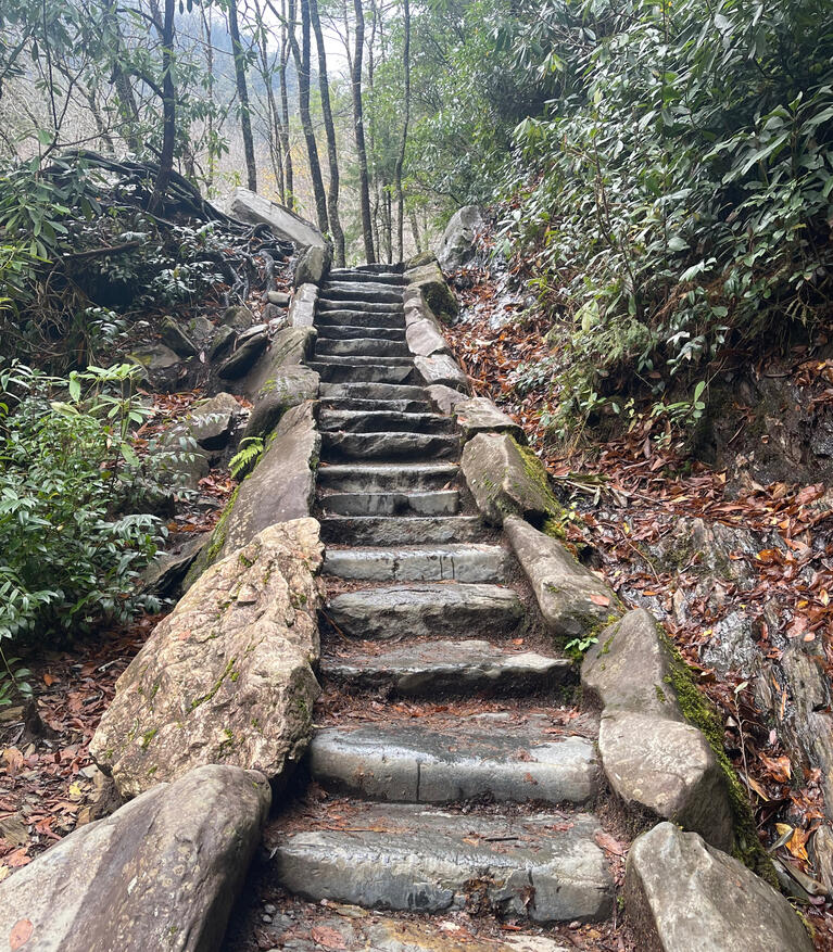 A Personal Journey to Wellness